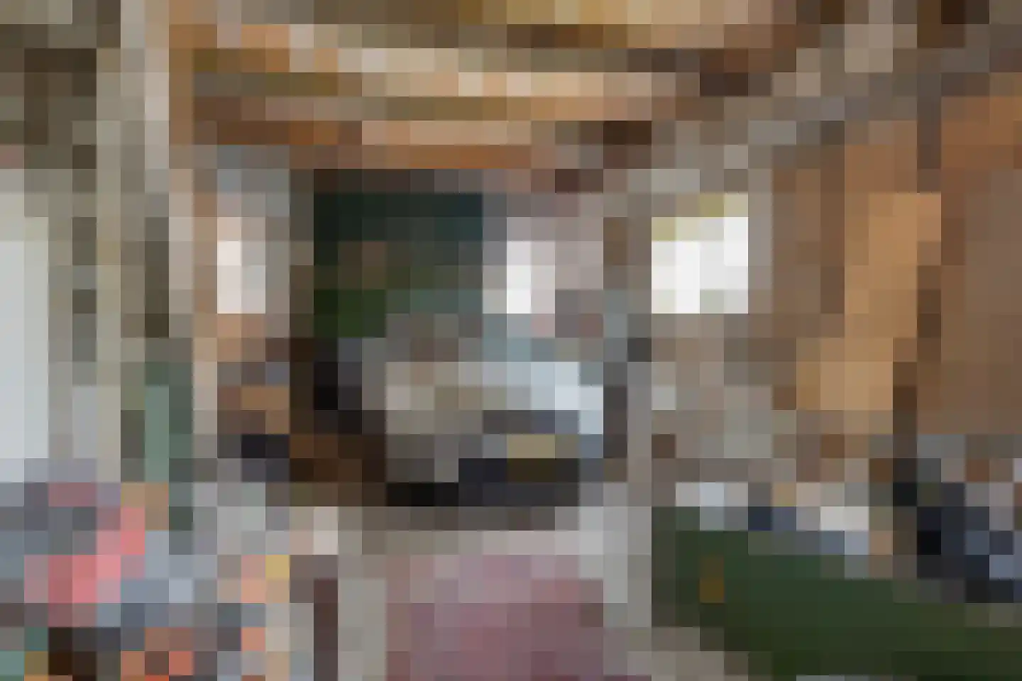 Nieuwendijk 21 Wijhe thumbnail 31