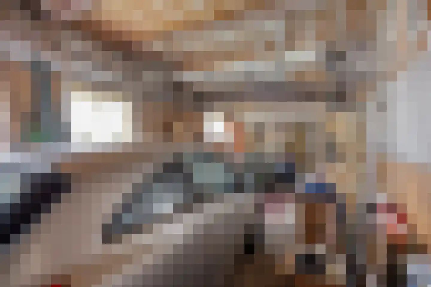 Nieuwendijk 21 Wijhe thumbnail 32