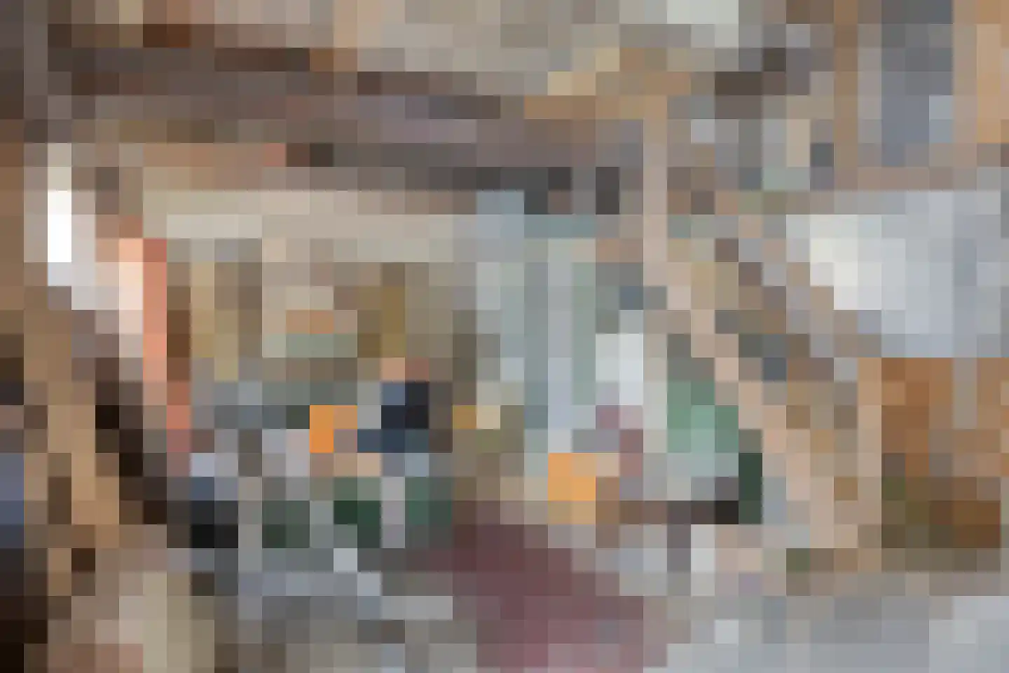 Nieuwendijk 21 Wijhe thumbnail 33