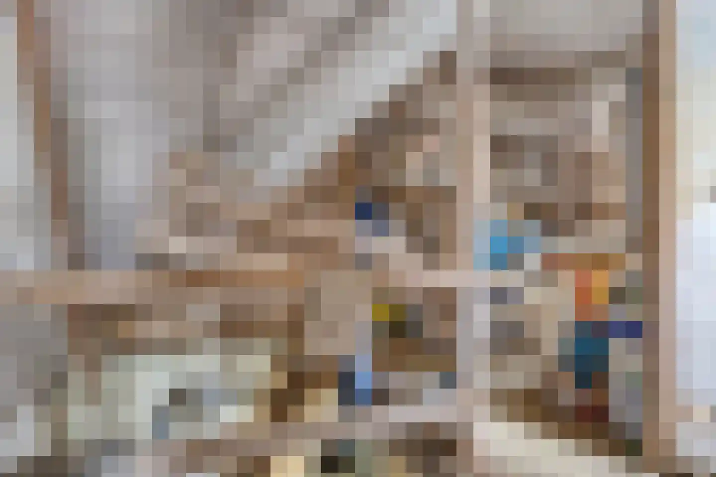 Nieuwendijk 21 Wijhe thumbnail 35