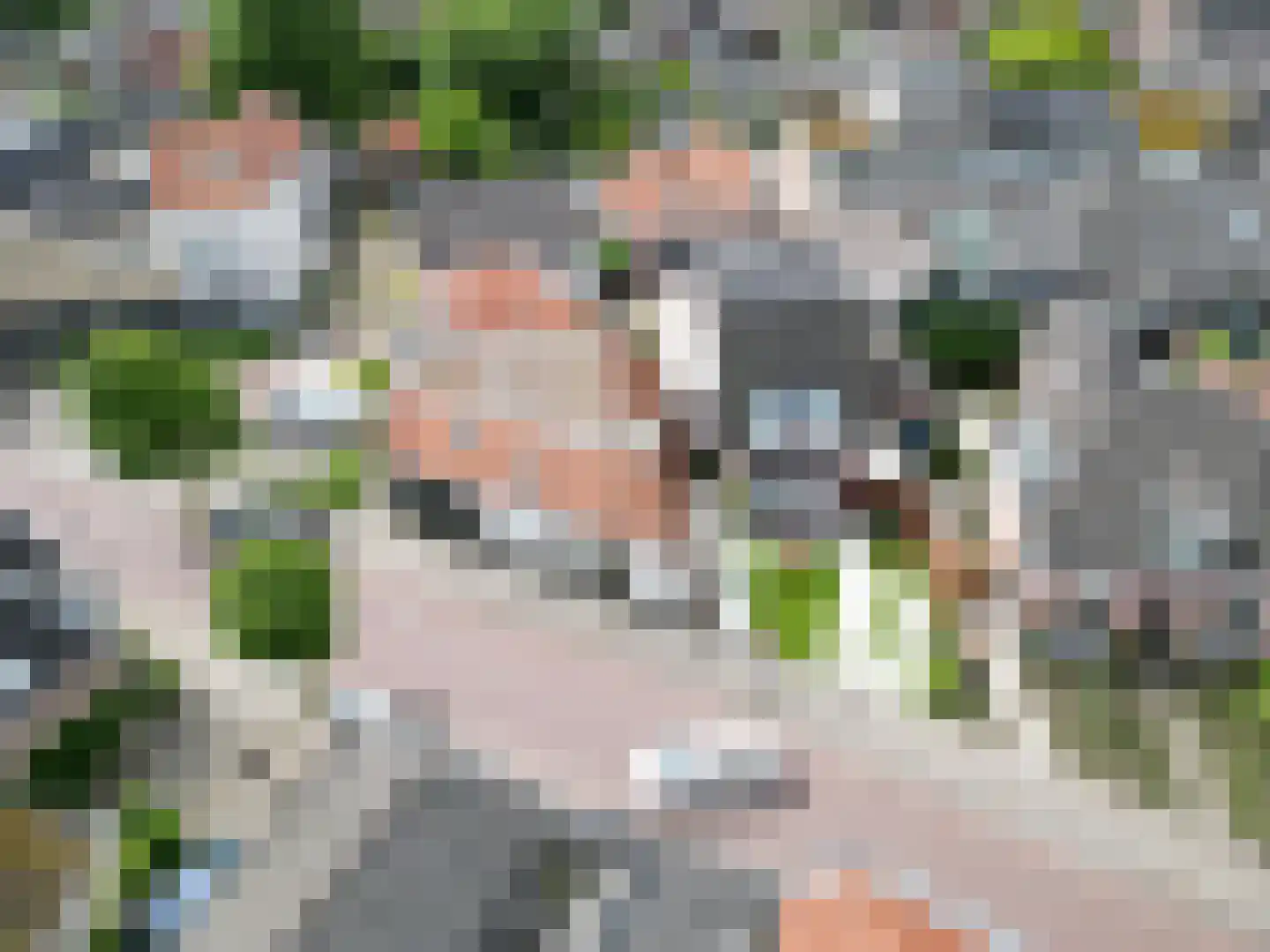 Nieuwendijk 21 Wijhe thumbnail 42