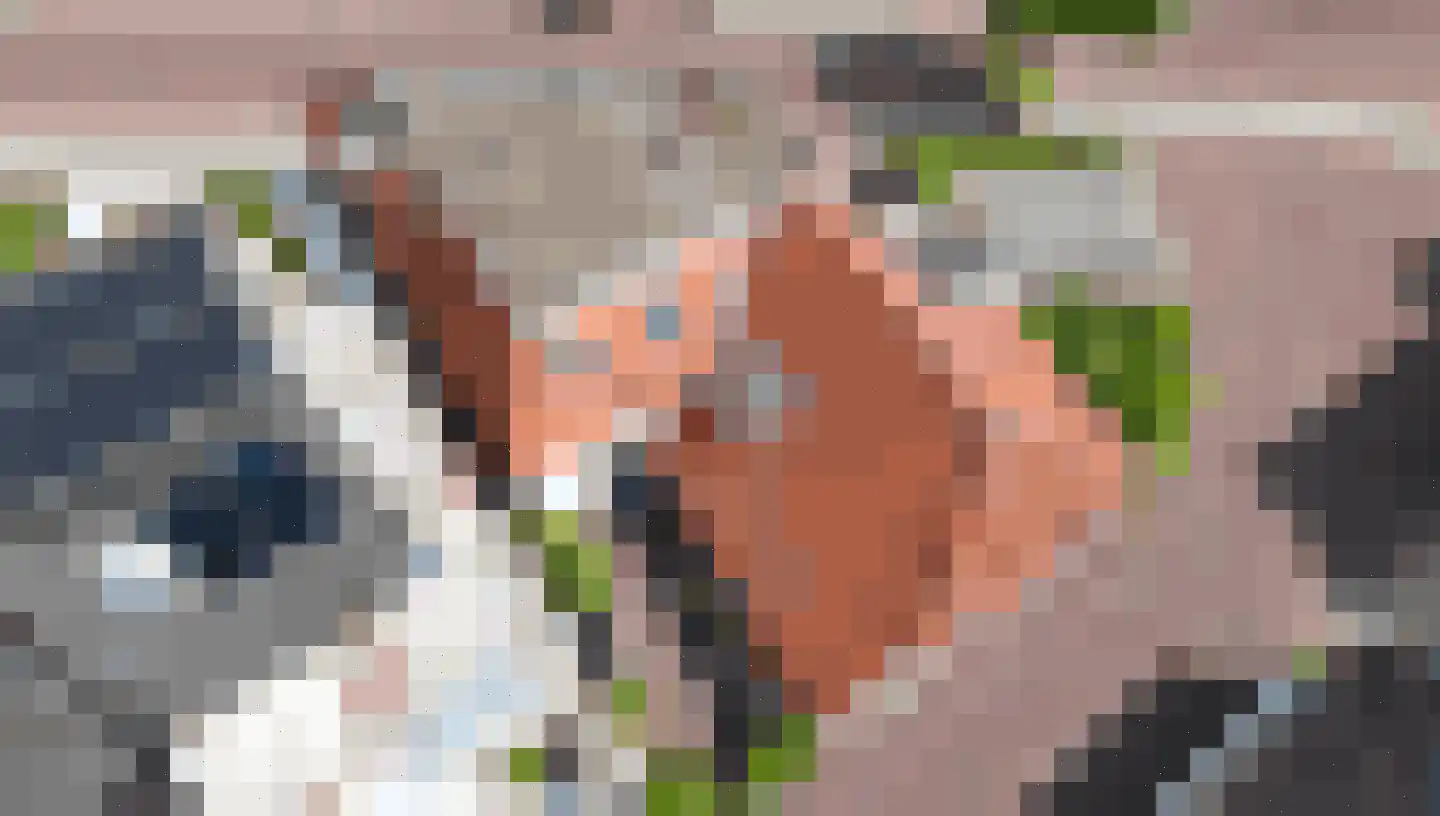Nieuwendijk 21 Wijhe thumbnail 43