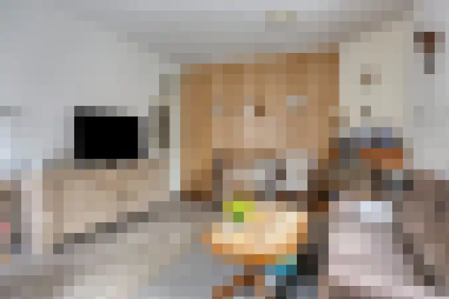 Nieuwendijk 21 Wijhe thumbnail 7