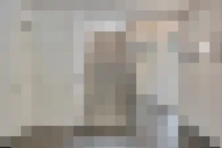 Nieuwendijk 23 B Geldrop thumbnail 11