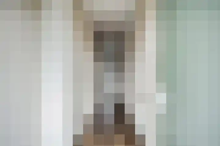 Nieuwendijk 23 B Geldrop thumbnail 14