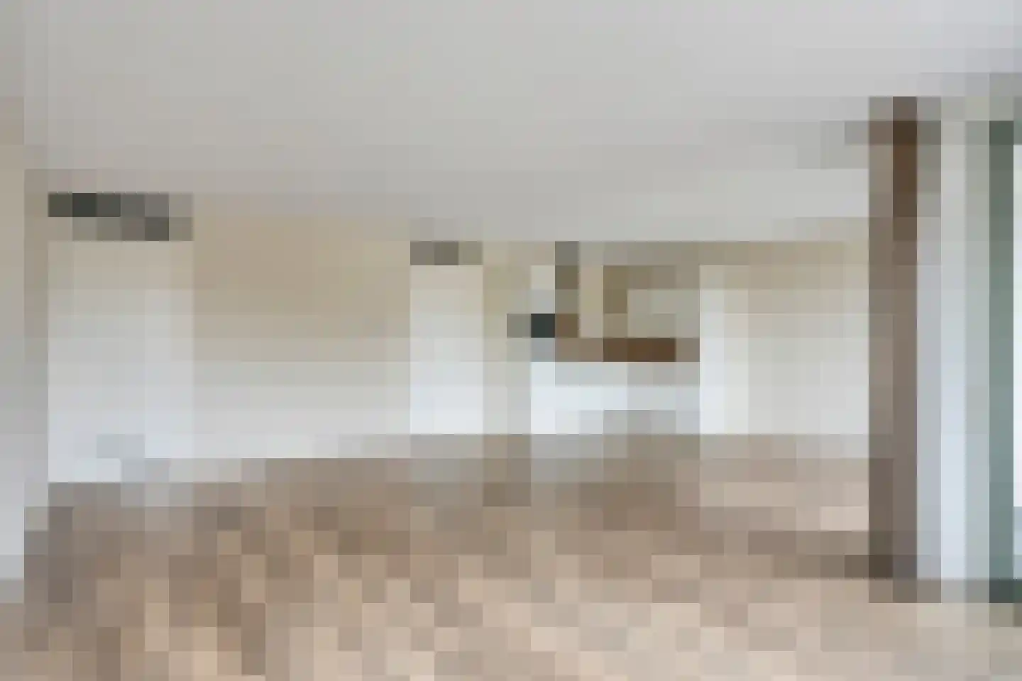 Nieuwendijk 23 B Geldrop thumbnail 14