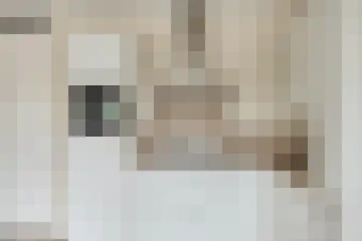 Nieuwendijk 23 B Geldrop thumbnail 19