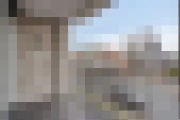 Nieuwendijk 23 B Geldrop thumbnail 22