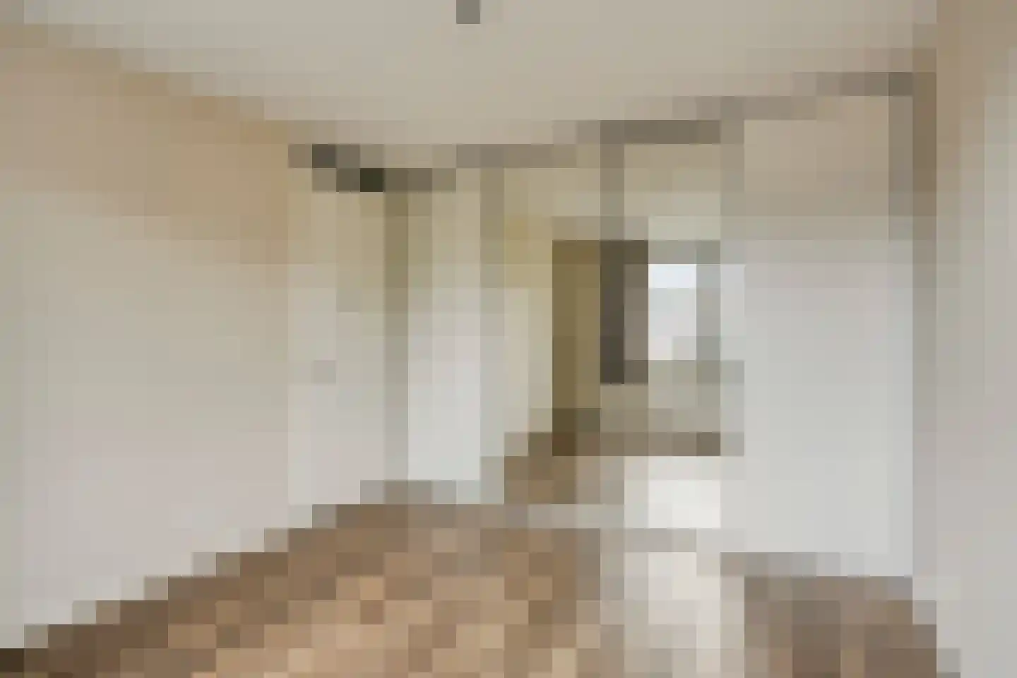 Nieuwendijk 23 B Geldrop thumbnail 26