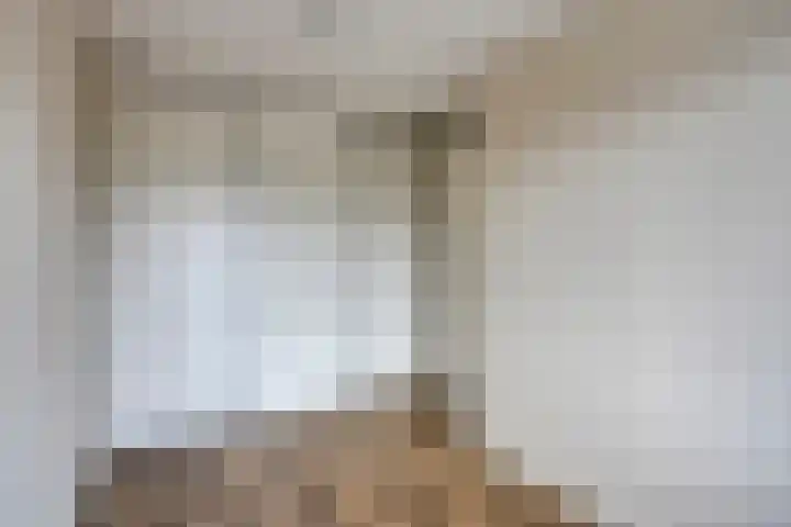Nieuwendijk 23 B Geldrop thumbnail 29