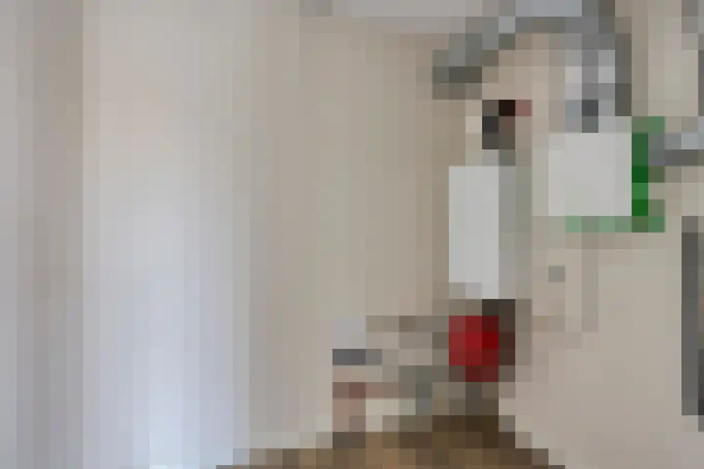 Nieuwendijk 23 B Geldrop thumbnail 31
