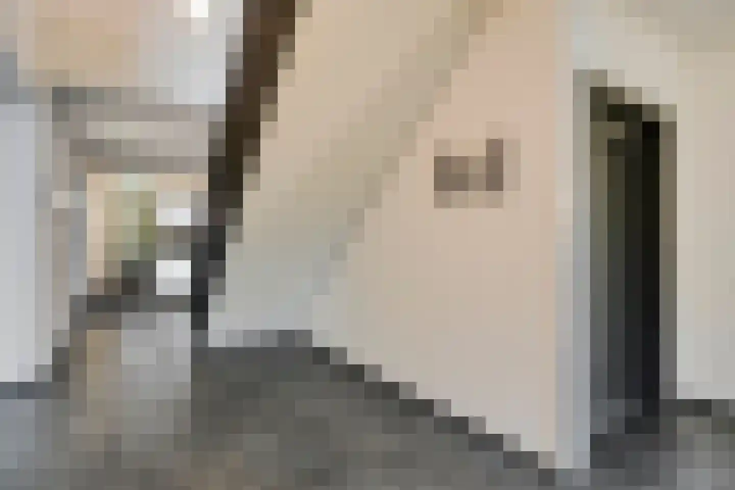 Nieuwendijk 23 B Geldrop thumbnail 8