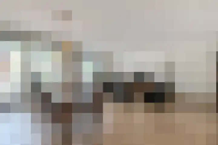 Nieuwendijk 23 F Geldrop thumbnail 15