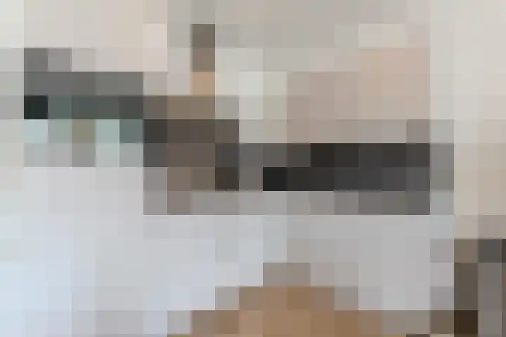 Nieuwendijk 23 F Geldrop thumbnail 16