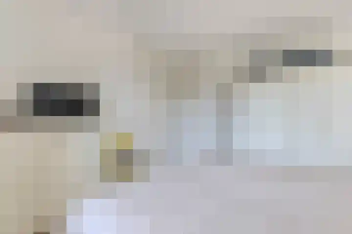 Nieuwendijk 23 F Geldrop thumbnail 19