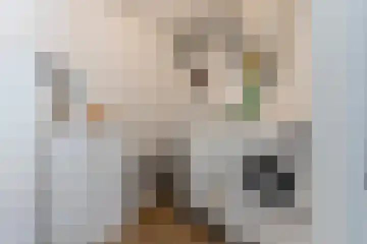 Nieuwendijk 23 F Geldrop thumbnail 25