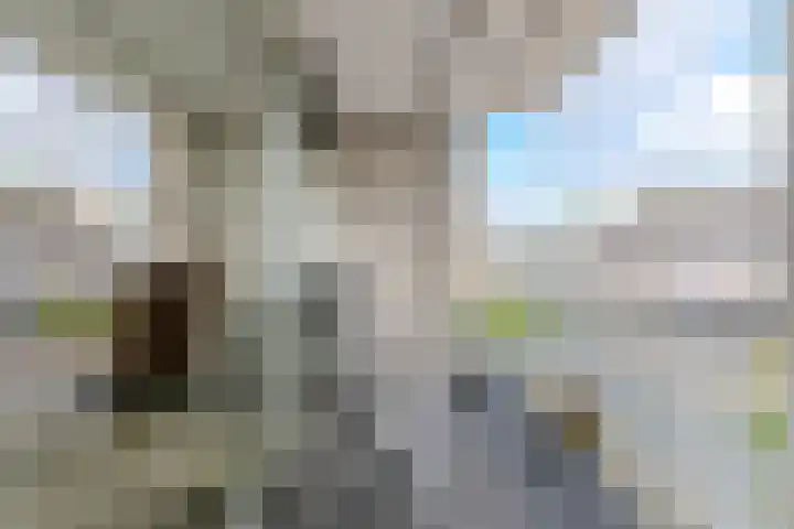 Nieuwendijk 23 F Geldrop thumbnail 26