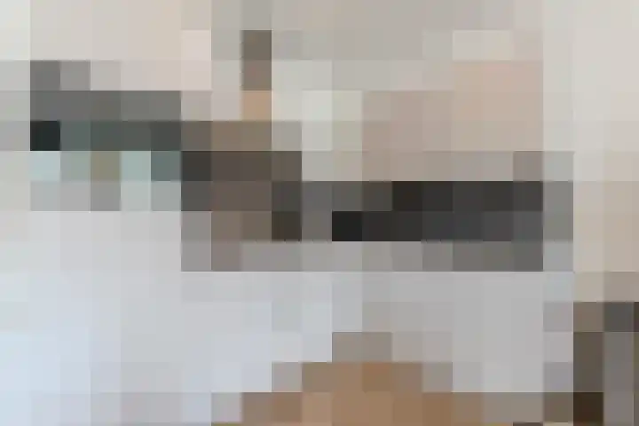Nieuwendijk 23 F Geldrop foto 3