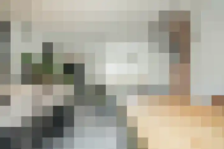 Nieuwendijk 25 Rosmalen thumbnail 13