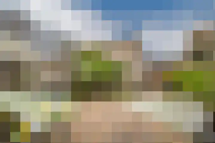Nieuwendijk 25 Rosmalen thumbnail 33