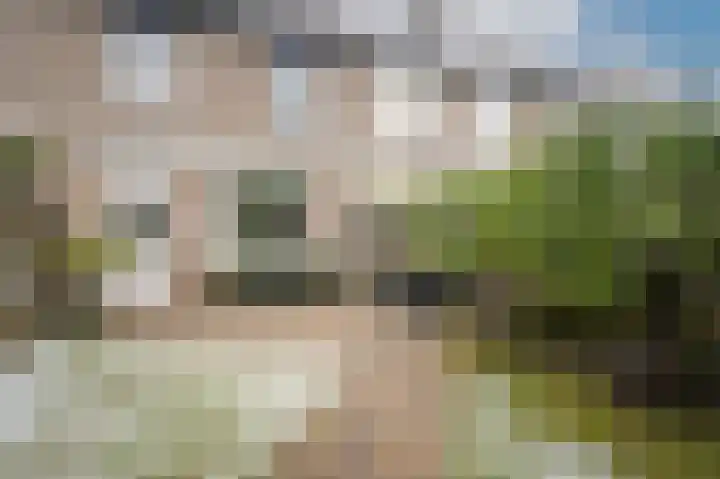 Nieuwendijk 25 Rosmalen thumbnail 34