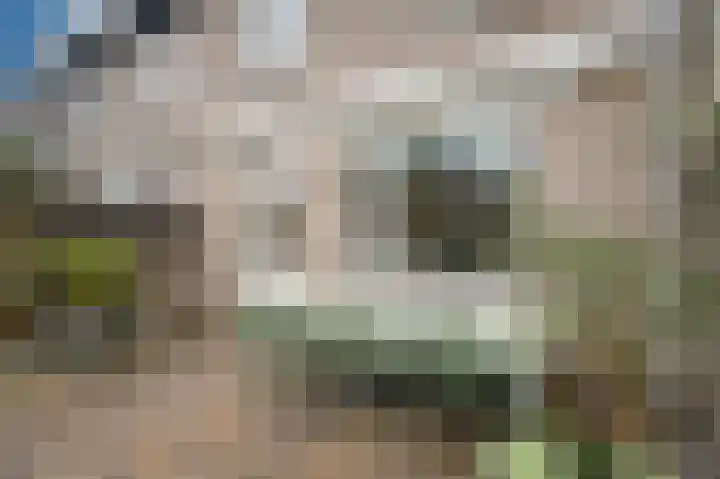 Nieuwendijk 25 Rosmalen thumbnail 37