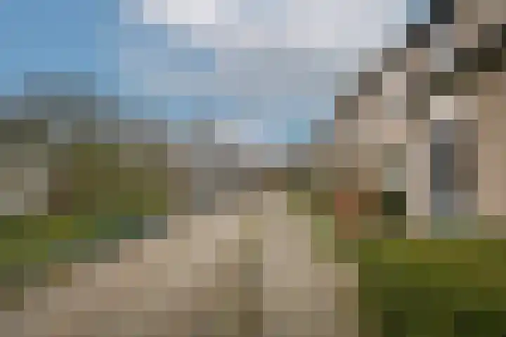 Nieuwendijk 25 Rosmalen thumbnail 38