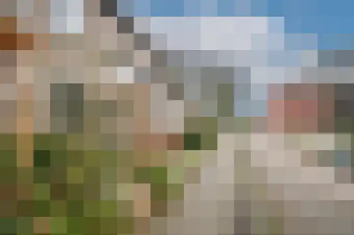Nieuwendijk 25 Rosmalen thumbnail 39