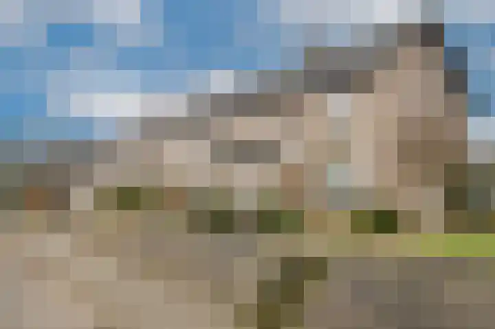 Nieuwendijk 25 Rosmalen thumbnail 40