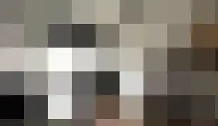 Nieuwendijk 27 Geldrop thumbnail 6