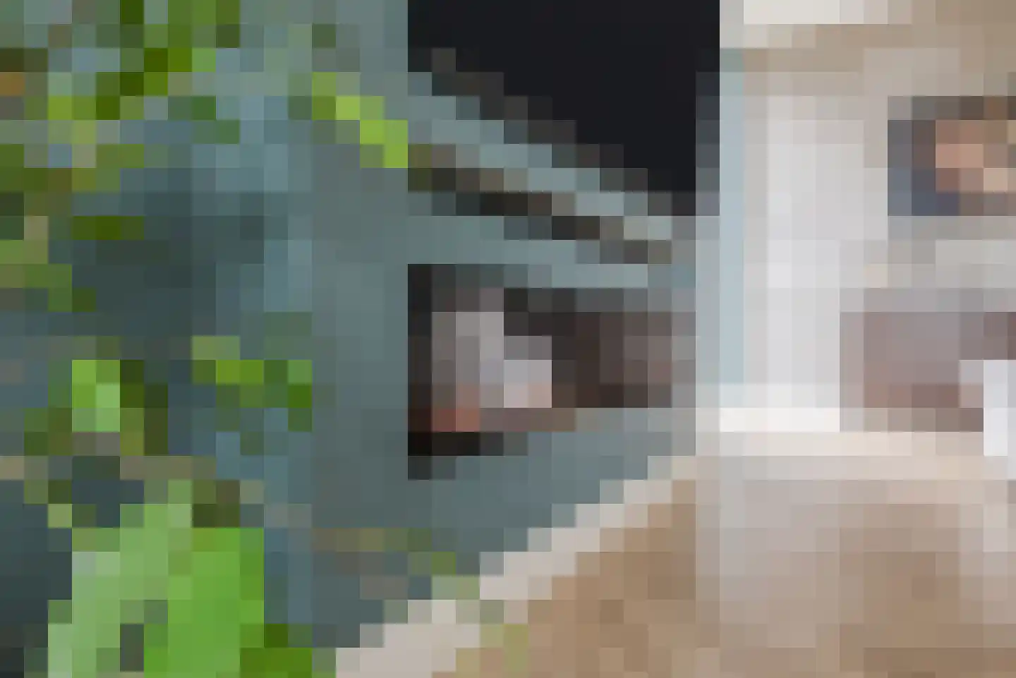 Nieuwendijk 28 g Someren thumbnail 12