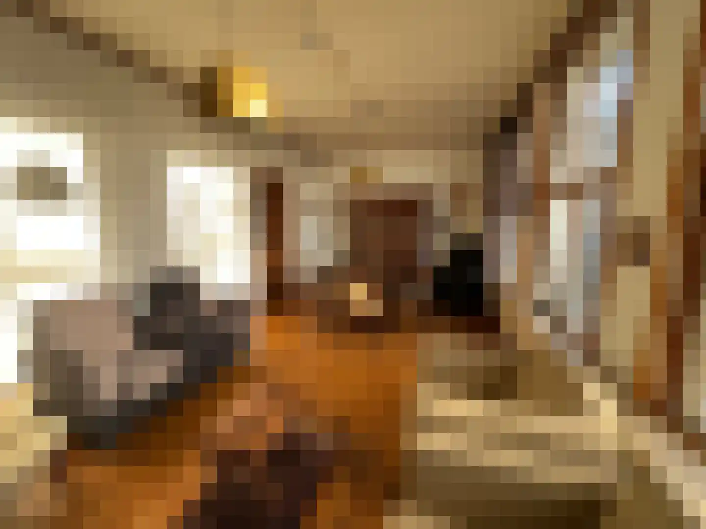 Nieuwendijk 29 Vlissingen thumbnail 18