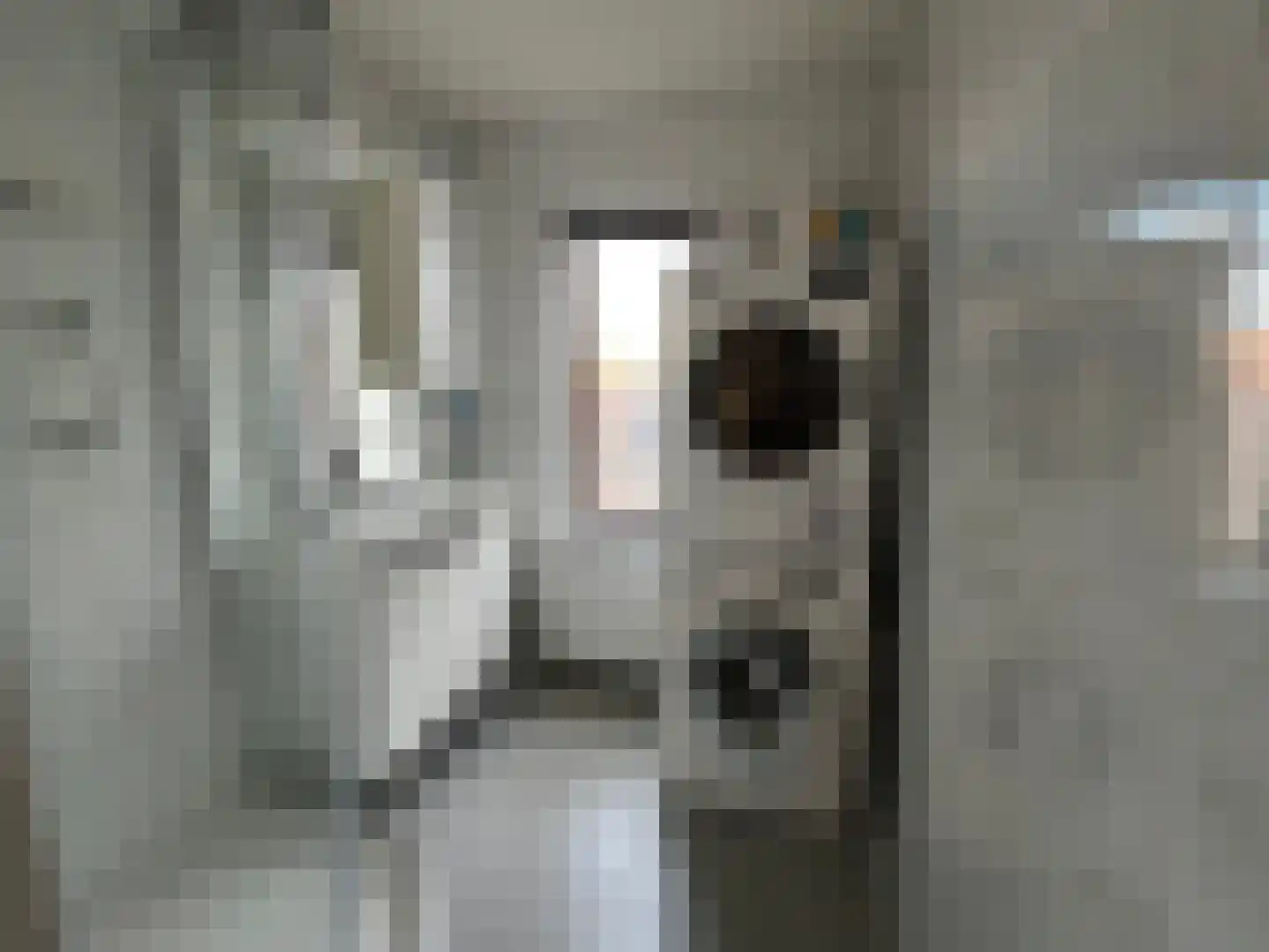 Nieuwendijk 29 Vlissingen thumbnail 27