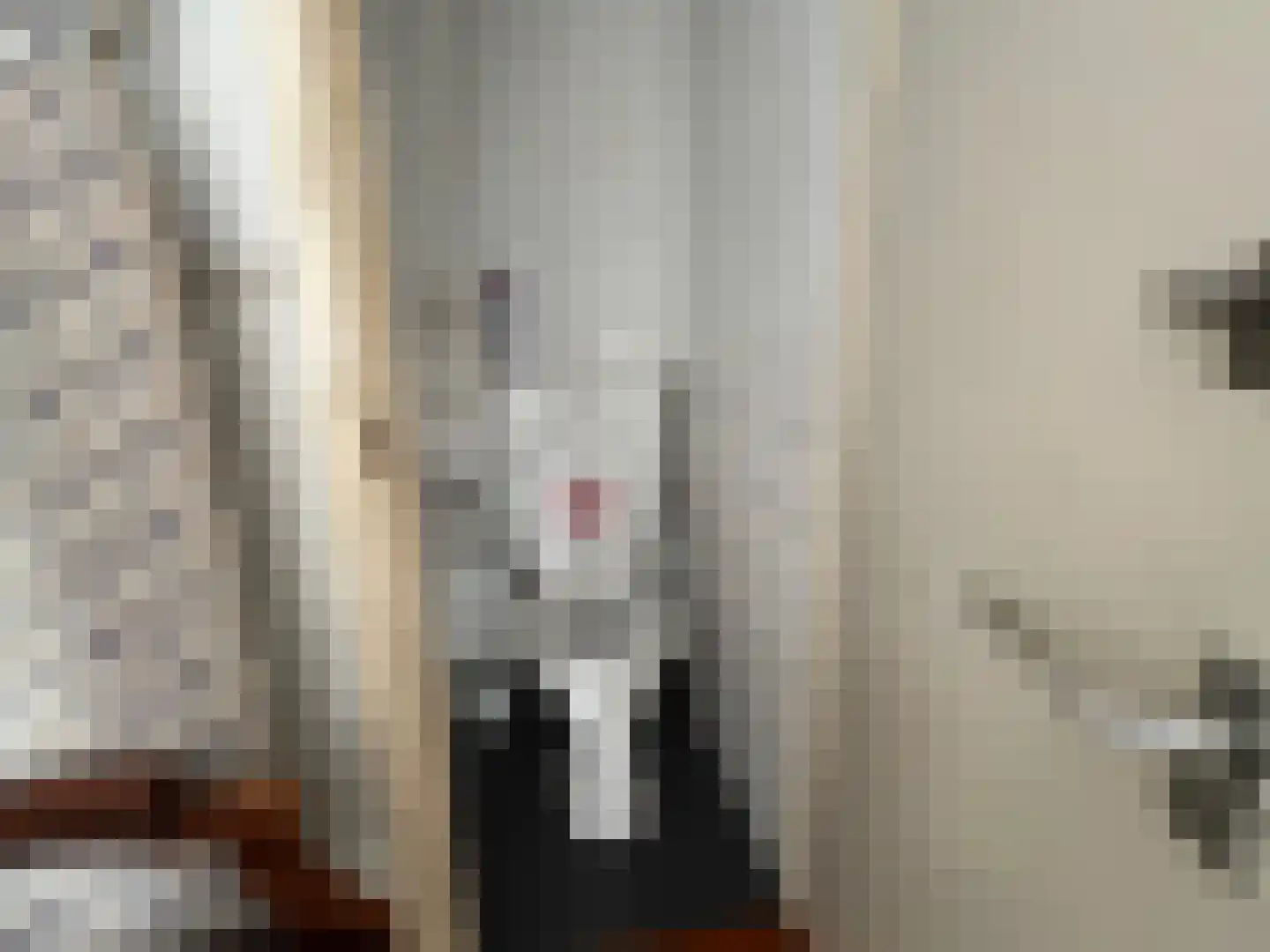 Nieuwendijk 29 Vlissingen thumbnail 28