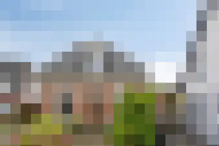 Nieuwendijk 29 Wijhe