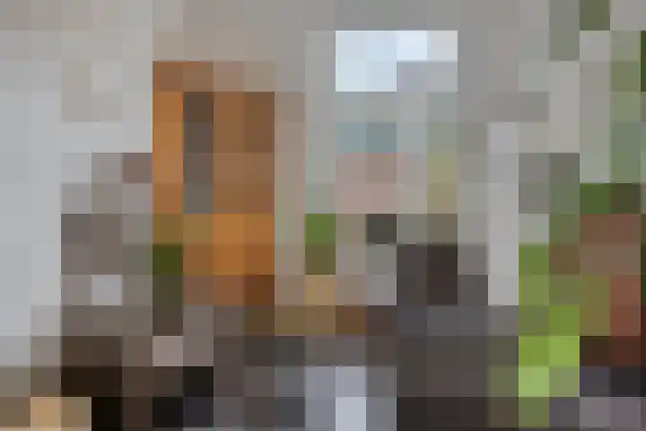 Nieuwendijk 29 Wijhe thumbnail 10