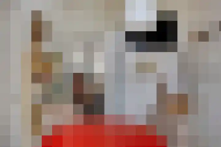 Nieuwendijk 29 Wijhe thumbnail 13