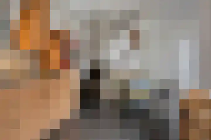 Nieuwendijk 29 Wijhe thumbnail 14