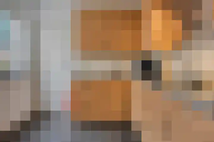 Nieuwendijk 29 Wijhe thumbnail 15