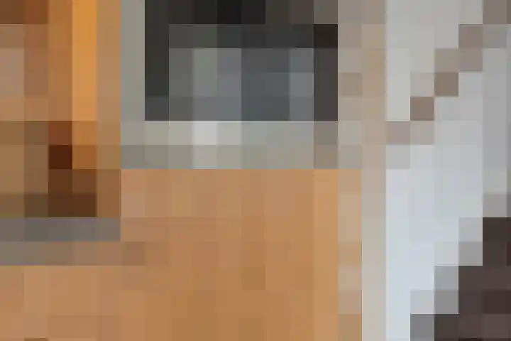 Nieuwendijk 29 Wijhe thumbnail 16