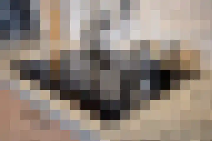 Nieuwendijk 29 Wijhe thumbnail 18