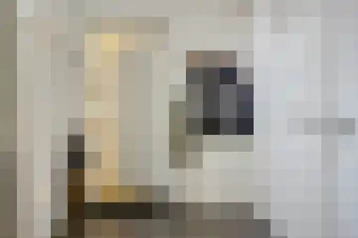 Nieuwendijk 29 Wijhe thumbnail 19