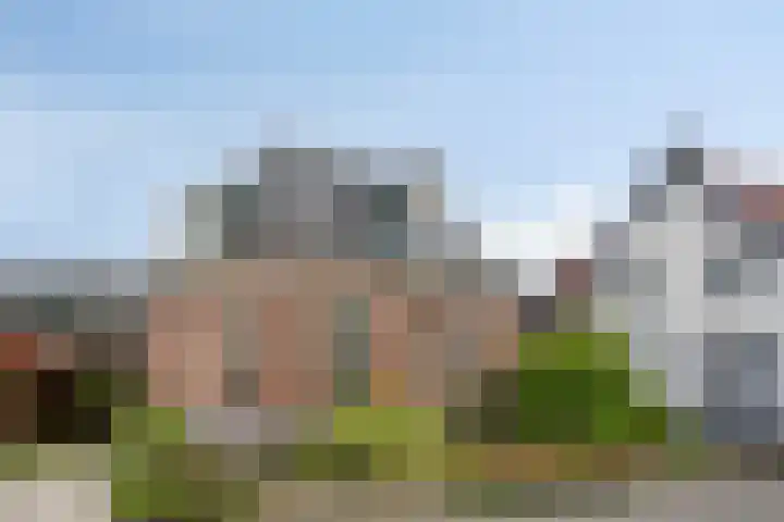 Nieuwendijk 29 Wijhe foto 2
