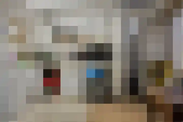 Nieuwendijk 29 Wijhe thumbnail 20