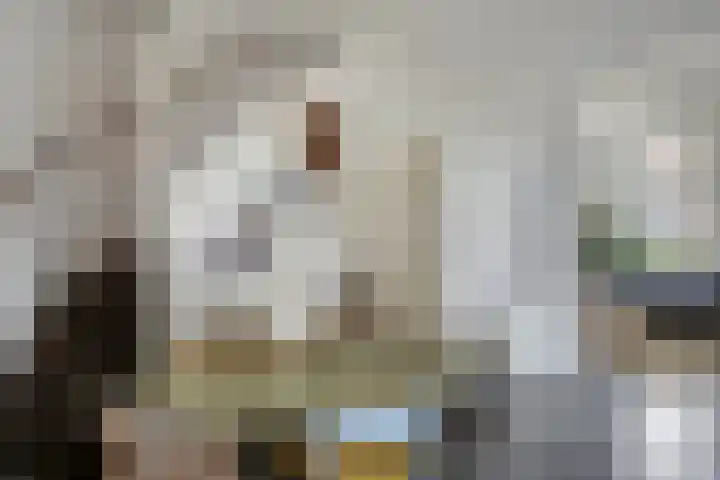 Nieuwendijk 29 Wijhe thumbnail 21