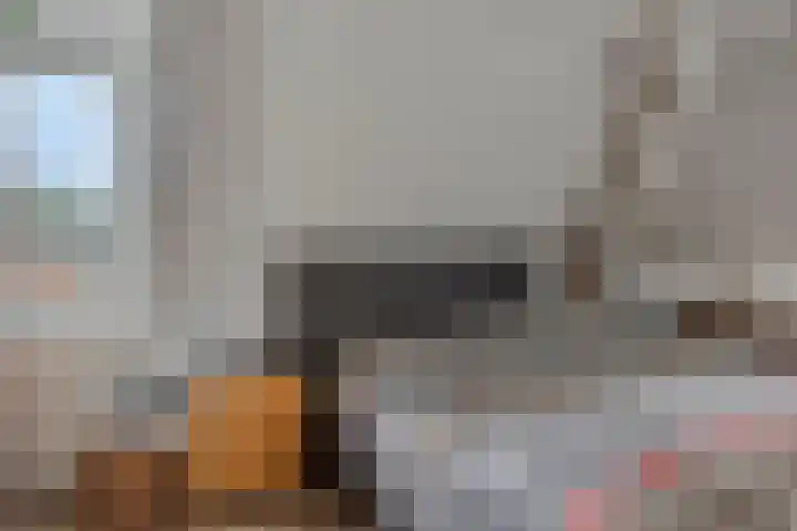 Nieuwendijk 29 Wijhe thumbnail 23