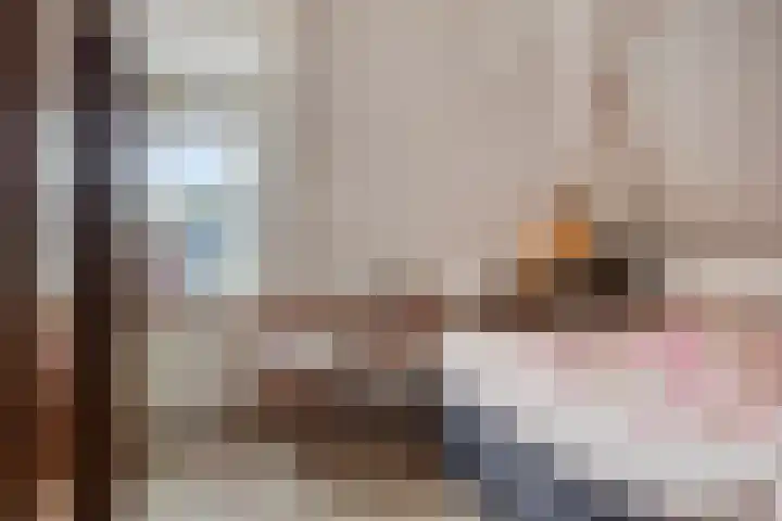 Nieuwendijk 29 Wijhe thumbnail 27