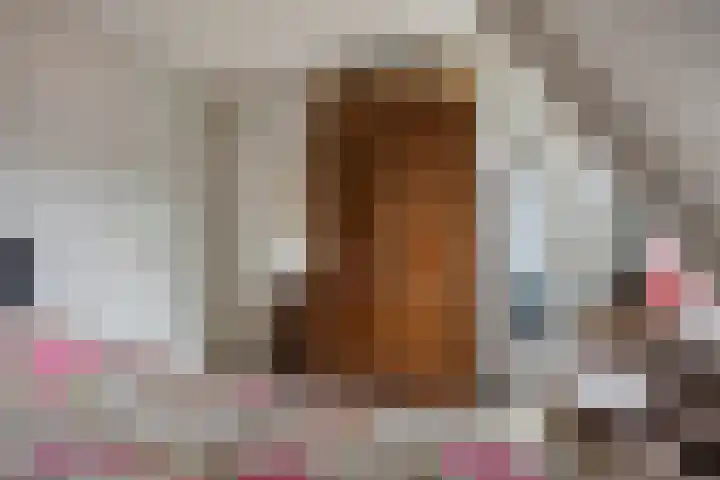 Nieuwendijk 29 Wijhe thumbnail 28