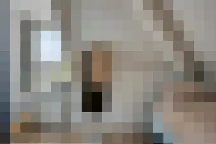 Nieuwendijk 29 Wijhe thumbnail 29