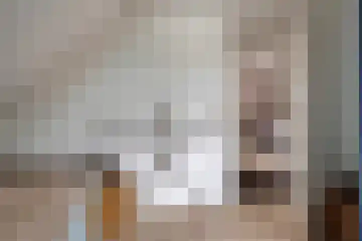 Nieuwendijk 29 Wijhe thumbnail 30